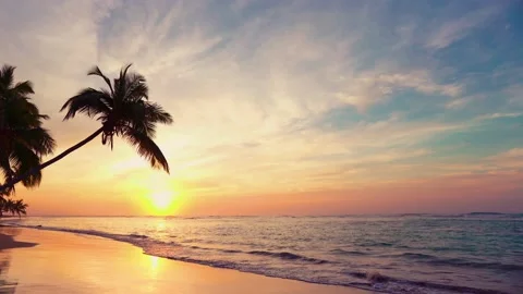 Beautiful sundown on the palm beach background. Sundown beach landscape 4k Video stock 153239917