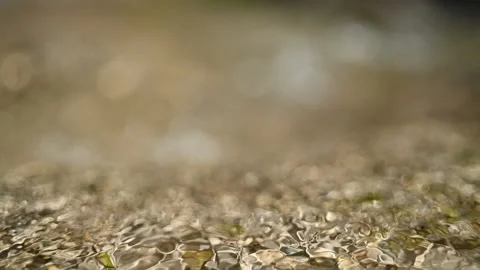 Beautiful sunlight effects on a mountain stream (bokeh, slow motion) Stock-Footage 219636476