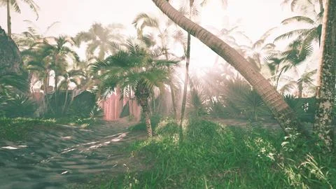 Beautiful sunlight filtering through palm fronds in paradise イラスト素材