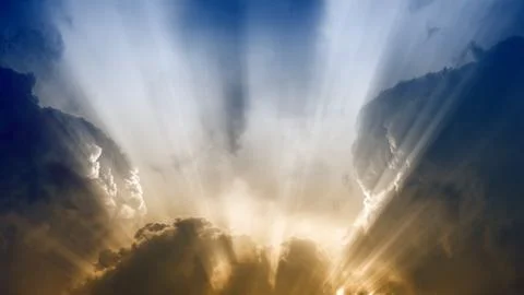 Beautiful sunlight 스톡 일러스트