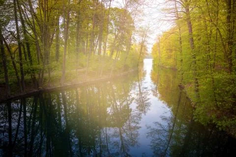 Beautiful sunlight in spring during a forest walk at the lake side Stock Photos