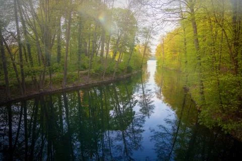 Beautiful sunlight in spring during a forest walk at the lake side Stock Photos
