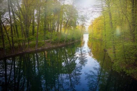 Beautiful sunlight in spring during a forest walk at the lake side Stock Photos