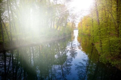 Beautiful sunlight in spring during a forest walk at the lake side Foto stock