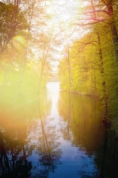 Beautiful sunlight in spring during a forest walk at the lake side Stock Photos