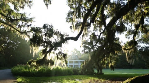 Beautiful Sunlight Through Trees In Front Of House Stock Footage 26833120