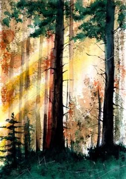 Beautiful sunlit forest Stock Illustration