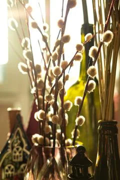 The beautiful sunny easter composition of the willow branches. Selective focus. Stock Photos