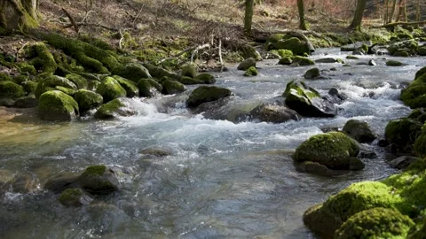 Beautiful sunny forest river with mossy rocks slow motion Stock-Footage 346630657