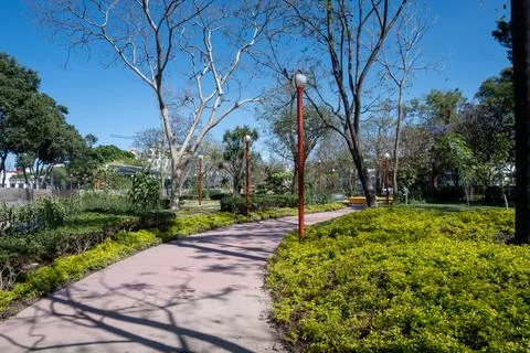 Beautiful sunny park path surrounded by lush greenery and vibrant trees under a Stock Photos