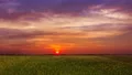 The beautiful sunrise above green field. time lapse 4k or 4k+ Resolution