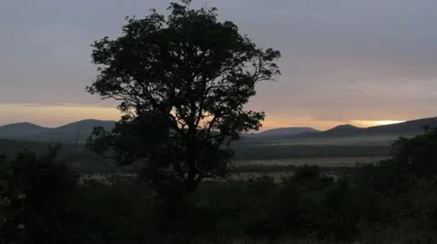 Beautiful Sunrise Video stock 11142375