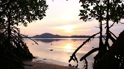 Beautiful sunrise. Stock Footage 64146553