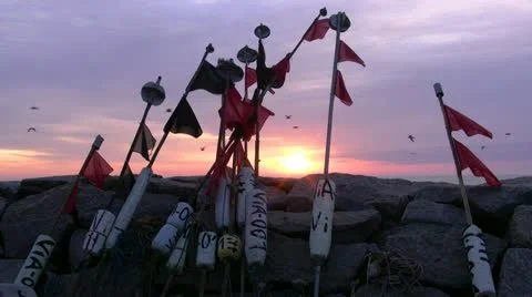 Beautiful Sunrise by the Ocean Stockbeeldmateriaal 12393043