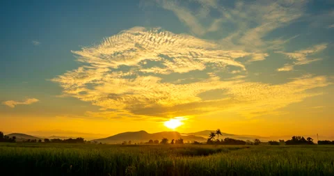 Beautiful sunrise over the rice fields with beautiful sky Stock Footage 255218228