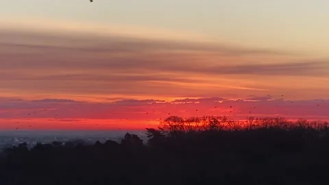 Beautiful sunrise sky Stock-Footage 201167464