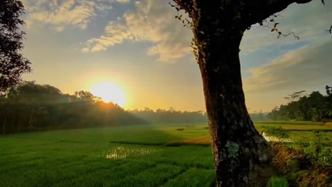 Beautiful Sunrises Video stock 245776033