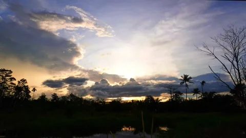 Beautiful sunset above the fields with tree silhouettes and ponds Stock-Footage 304181591