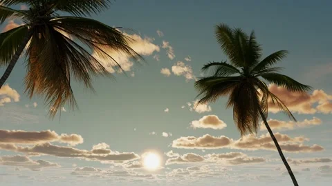 Beautiful sunset against the backdrop of palm trees and clouds. Stock Footage 229385132