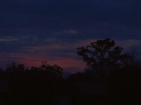 Beautiful Sunset in the Amazon Jungle Rainforest Video stock 112942837