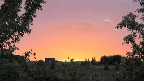 Beautiful sunset among the trees Stock Footage 92216462