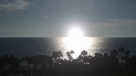 Beautiful sunset and palm trees blowing in the wind. Stock Footage 128926558