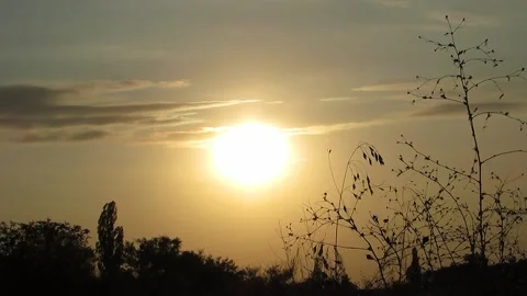 Beautiful sunset on the background of trees and bushes Video stock 140126318