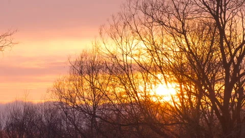 Beautiful sunset on a background of winter trees Stock Footage 125810493