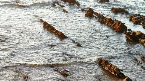 Beautiful sunset at the beach Stock Footage 856199