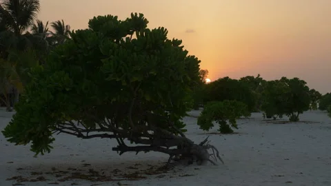 Beautiful sunset on the beach Stock Footage 89757723