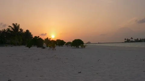 Beautiful sunset on the beach overlooking the palm trees and the ocean in the Stock Footage 90982053