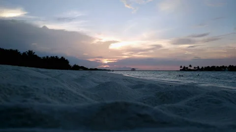 Beautiful sunset on the beach overlooking the palm trees and the ocean in the Stock Footage 91294818