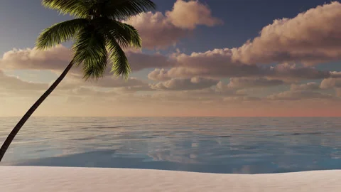 Beautiful sunset on the beach with a palm tree near the sea. Stock Footage 236631437