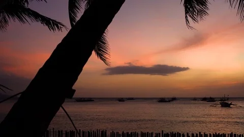 Beautiful sunset on the beach with palm trees and boats Stock Footage 72414042