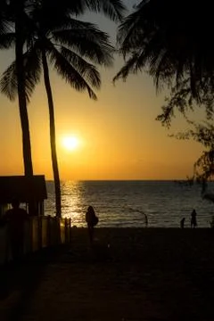 Beautiful sunset on the beach Stock Photos