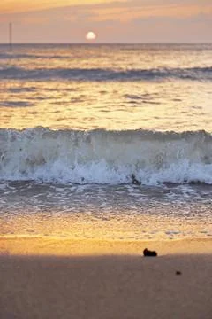 Beautiful sunset at the beach. Stock Photos