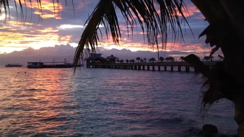 Beautiful sunset at the beach scene Stock Footage 161766721