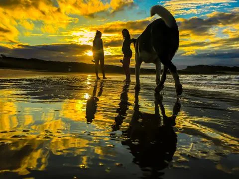 Beautiful sunset beach shore sea sky reflection ocean people and dog silhouet Stock Photos