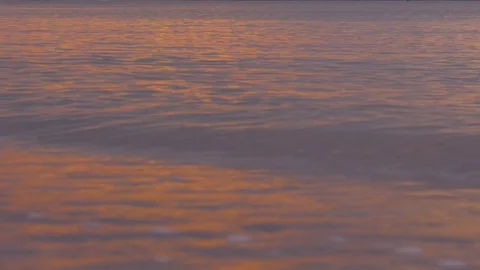 Beautiful sunset on beach, slow motion Stock Footage 83304298