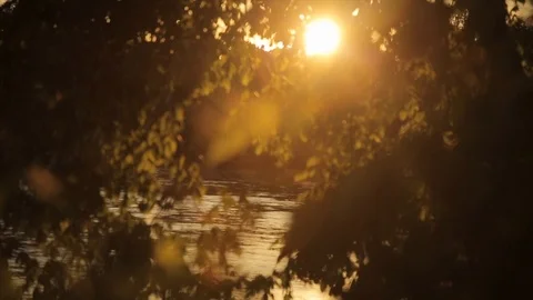 Beautiful Sunset Behind a Rushing River Stock Footage 91222408