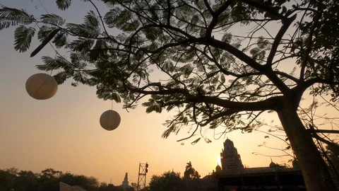 Beautiful sunset behind a tree Stock Footage 124455496
