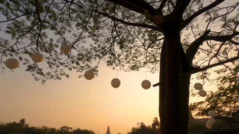 Beautiful sunset behind a tree Stock Footage 124483954