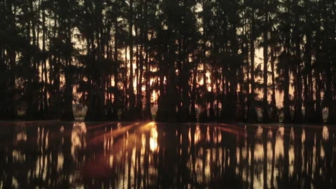 Beautiful sunset behind trees on a calm lake at evening time Stock Footage 327983100