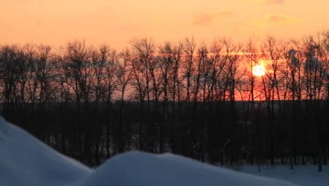 Beautiful sunset behind the trees at a park in Moscow Stock Footage 8642280