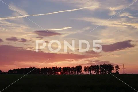 Beautiful sunset behind the trees Stock Photos