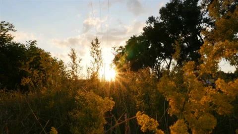 Beautiful sunset. Bright sun rays. Camera in motion Stock Footage 119786960