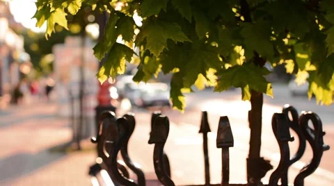 Beautiful sunset in the city center Stock Footage 59086406