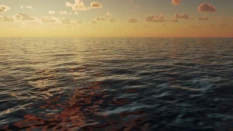 Beautiful sunset with clouds and flying over palm trees and the sea Stock Footage 236482009