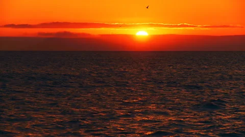 A beautiful sunset in the clouds Stock Footage 92206325