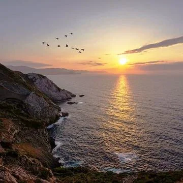 Beautiful sunset on the coast with a reflection of migrating birds Stock Photos